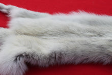 Load image into Gallery viewer, Canadian Arctic Wolf - HAS FEET AND CLAWS -WLF1060
