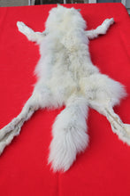 Load image into Gallery viewer, Canadian Arctic Wolf - HAS FEET AND CLAWS -WLF1060
