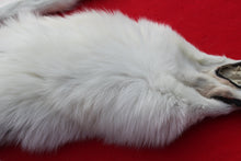 Load image into Gallery viewer, Canadian Arctic Wolf - HAS FEET AND CLAWS -WLF1060
