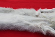 Load image into Gallery viewer, Canadian Arctic Wolf - HAS FEET AND CLAWS -WLF1060
