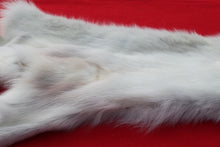 Load image into Gallery viewer, Canadian Arctic Wolf - HAS FEET AND CLAWS -WLF1060
