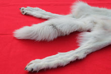 Load image into Gallery viewer, Canadian Arctic Wolf - HAS FEET AND CLAWS -WLF1060

