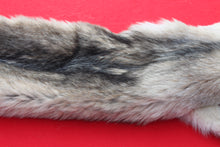 Load image into Gallery viewer, Canadian Wolf - Taxidermy Quality - WLF1064
