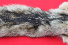 Load image into Gallery viewer, Eastern Canada Wolf - Taxidermy Quality - WLF1067
