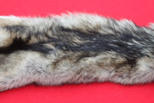 Load image into Gallery viewer, Eastern Canada Wolf - Taxidermy Quality - WLF1067
