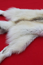 Load image into Gallery viewer, Canadian Arctic Wolf - Taxidermy Quality - WLF1069
