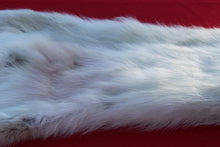 Load image into Gallery viewer, HUGE WHITE FEMALE ARCTIC WOLF        ( # WLF 1080 )  TAXIDERMY QUALITY
