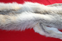 Load image into Gallery viewer, Canadian Arctic Wolf - Taxidermy Quality - WLF1061
