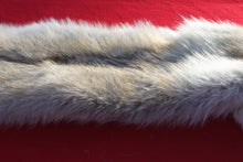 Load image into Gallery viewer, Canadian Arctic Wolf - Taxidermy Quality - WLF1061
