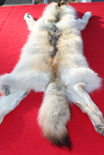 Load image into Gallery viewer, Canadian Arctic Wolf - Taxidermy Quality - WLF1061

