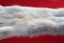 Load image into Gallery viewer, Canadian Arctic Wolf - Taxidermy Quality - WLF1061
