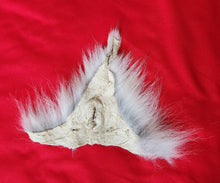 Load image into Gallery viewer, Wolf Vagina/Anus Area - WLF1124

