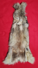 Load image into Gallery viewer, Wolf Body Skin - WLF1101
