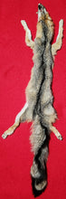 Load image into Gallery viewer, Grey Fox - HAS FEET AND CLAWS - GFX1003
