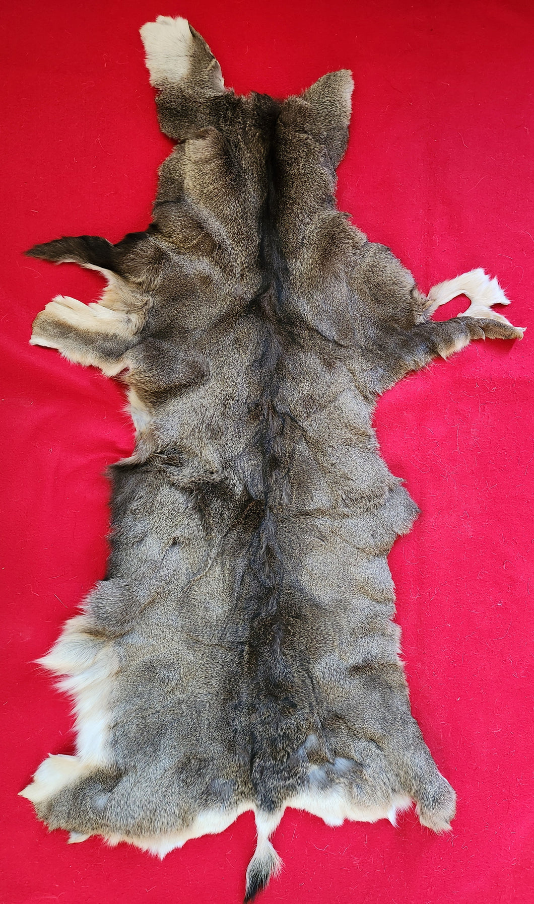 Mule Deer Hide - MDH1001