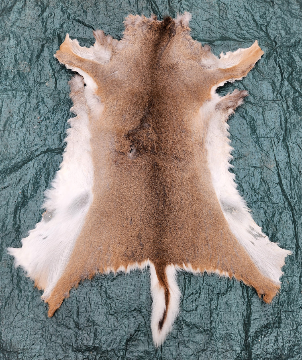 RRL　Deer Skin 100% ディアスキンフリンジベスト Whitetail Deer Hide - WTDR1006 – THE IDAHO FUR SHACK