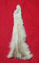 Load image into Gallery viewer, Wolf Front Legskin - HAS FOOT ATTACHED - WLF1104
