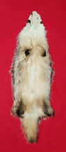 Load image into Gallery viewer, Badger - BDG1006
