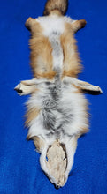 Load image into Gallery viewer, Red Fox Hide - RFX1005
