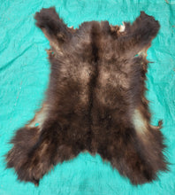Load image into Gallery viewer, Black Bear Hide - Chocolate Color
