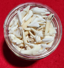 Load image into Gallery viewer, Jar of Mixed Teeth &amp; Bones
