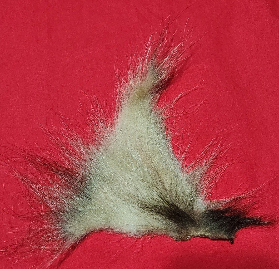 Black Bear Hide - Piece