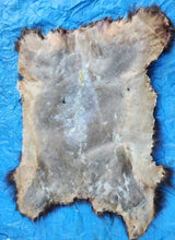 Load image into Gallery viewer, Black Bear Hide
