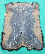 Load image into Gallery viewer, Black Bear Hide
