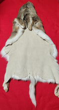 Load image into Gallery viewer, Whitetail Deer Hide - WTD1017
