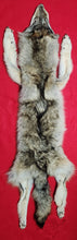 Load image into Gallery viewer, North Idaho Wolf Hide - Taxidermy Quality - WLF1095
