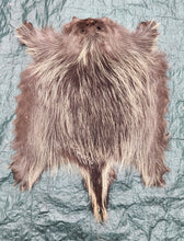 Load image into Gallery viewer, Porcupine Hide - PKY1020

