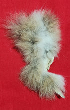 Load image into Gallery viewer, Bobcat Fur - Piece - Genitalia
