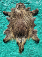 Load image into Gallery viewer, Porcupine Hide - PKY1018
