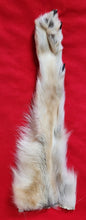Load image into Gallery viewer, Wolf Front Legskin - HAS FOOT AND CLAWS - WLF1125
