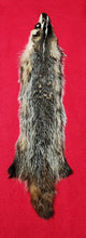 Load image into Gallery viewer, Badger - BDG1007
