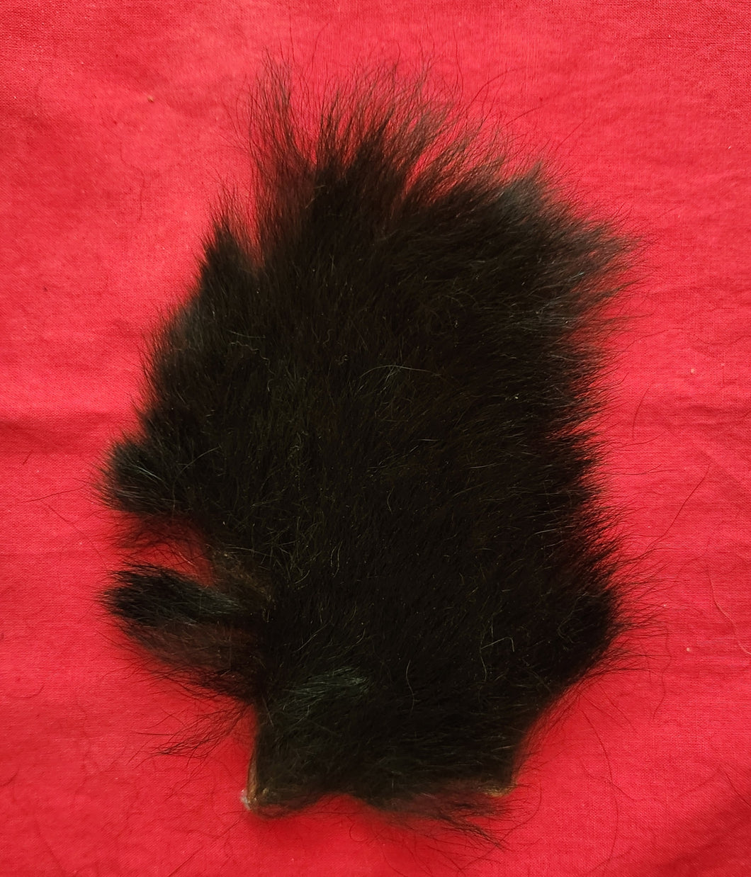 Black Bear Fur - Piece
