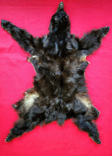 Load image into Gallery viewer, Black Bear Hide - Taxidermy Quality - BBR1005
