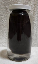 Load image into Gallery viewer, Beaver Tail - Wet Specimen

