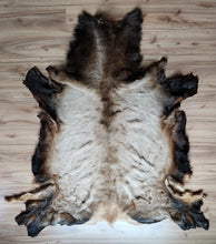 Load image into Gallery viewer, Bull Elk Hide - ELK1004
