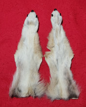 Load image into Gallery viewer, Wolf Rear Legskins - Pair - HAS FEET AND CLAWS - WLF1102
