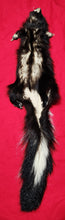 Load image into Gallery viewer, Medium Skunk Hide - Taxidermy Quality - SNK1010
