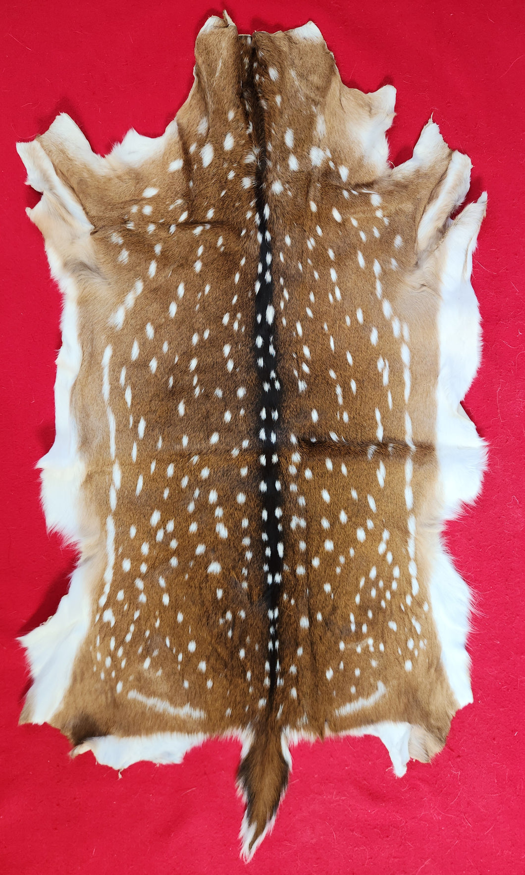 Axis Deer Hide - AXS1003