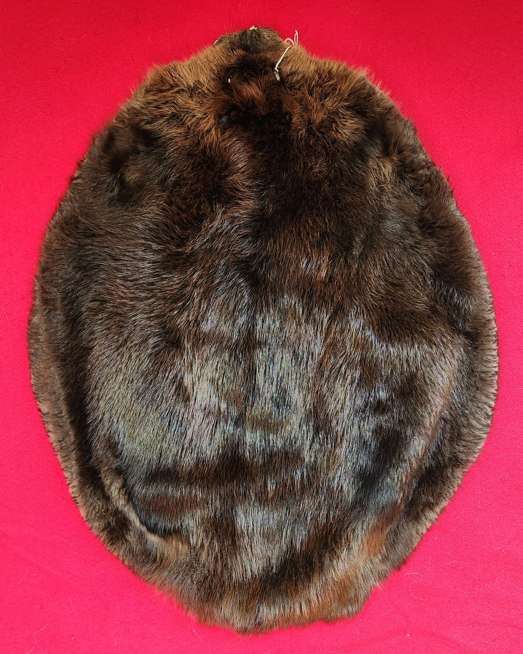 XL Beaver - BVR1080