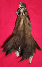 Load image into Gallery viewer, Cow Elk Head
