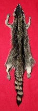 Load image into Gallery viewer, LM Raccoon Hide - HAS FEET AND CLAWS - RAC1016
