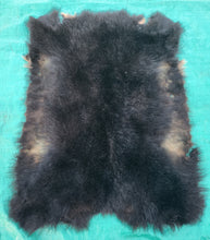 Load image into Gallery viewer, Black Bear Hide
