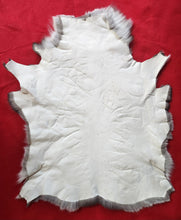 Load image into Gallery viewer, Caribou - Reindeer Hide - CAR1004
