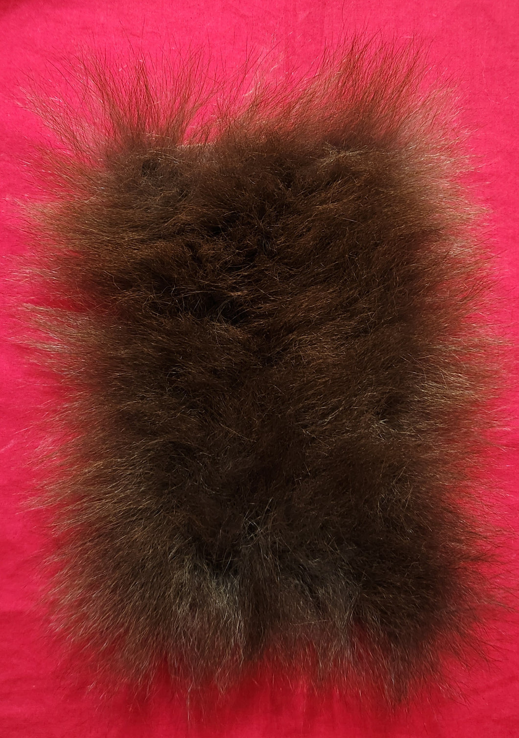 Black Bear Hide - 10
