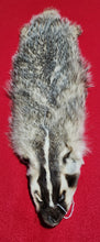 Load image into Gallery viewer, Badger - BDG1006
