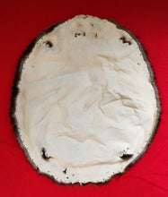Load image into Gallery viewer, Large Beaver - BVR1082
